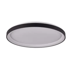 Ambisjoner LED plafond liten sort