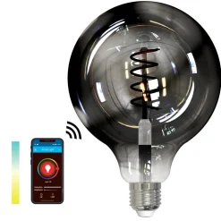 SMART LIGHT WIFI CCT globe sotet Ø125mm